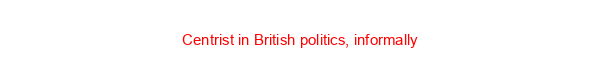 Centrist in British politics, informally